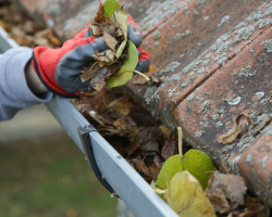 Rain Gutter Cleaning